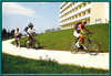 Mirage Park Resort 